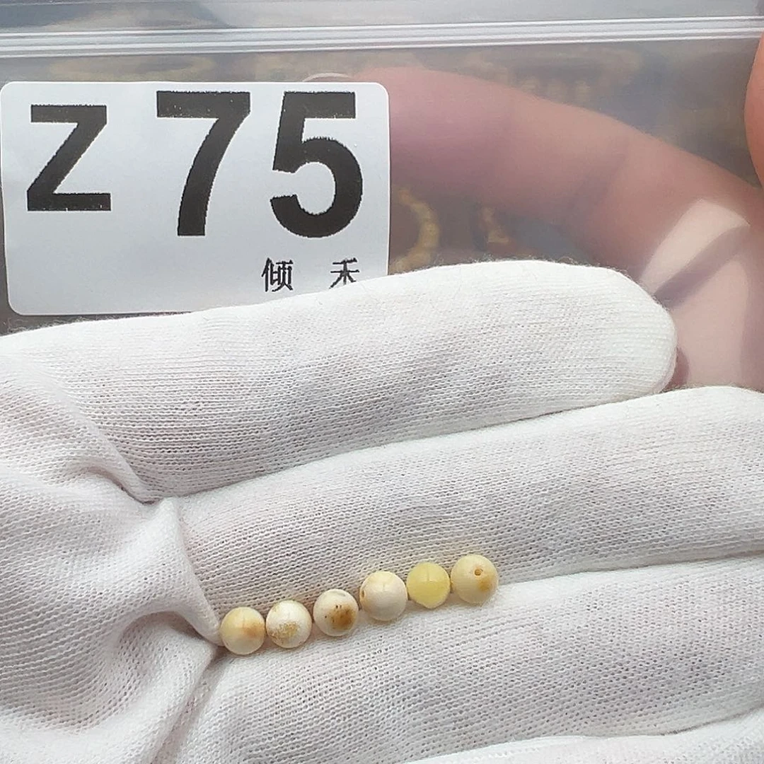 裸石琥珀未镶嵌圆珠5