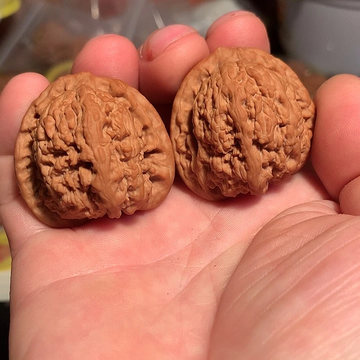 吊坠文玩核桃蚂蚁沟40