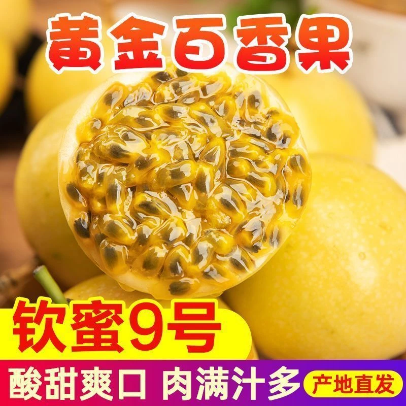 正宗海南钦蜜9号黄金百香果新鲜现摘5斤装大果酸甜爆汁果园直发