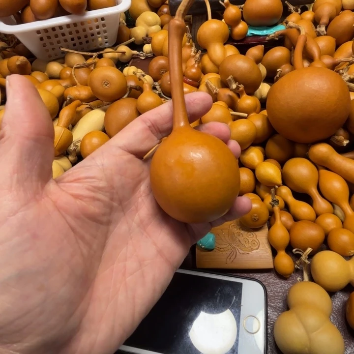 祝住住的一把毒霸毒霸紫皮葫芦