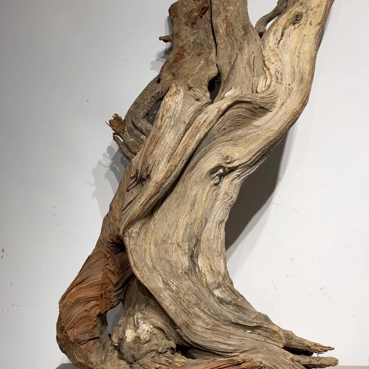 坏***团柏木崖柏等自然资源和生态资源丰富多彩