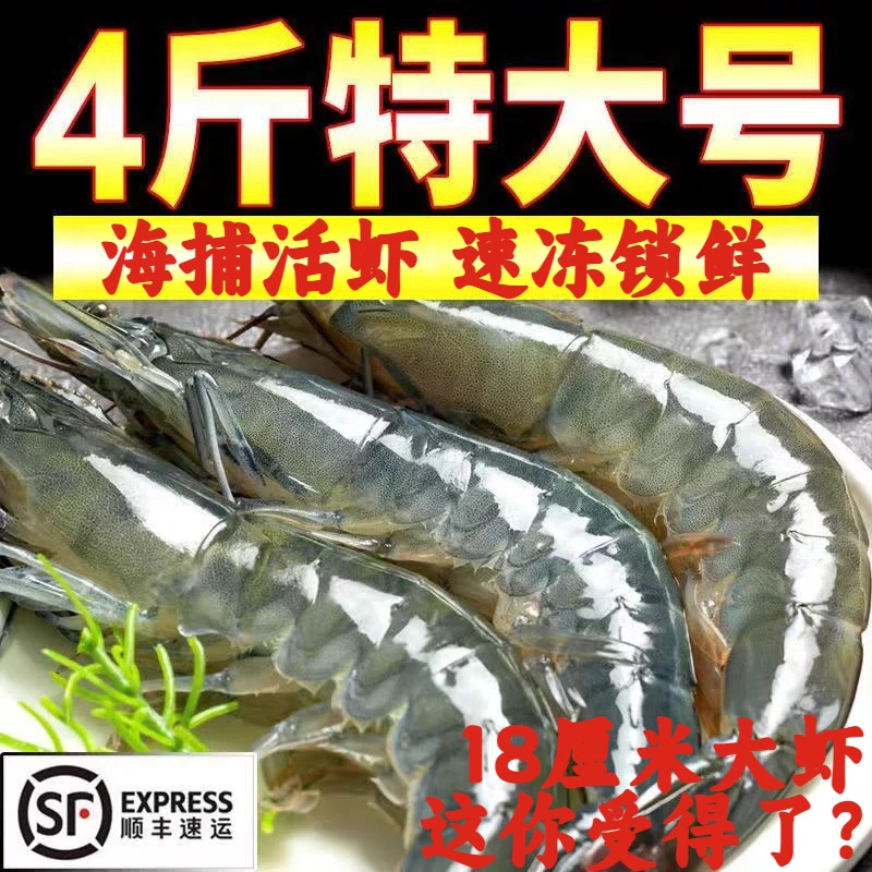 特大4斤海捕青岛大虾活虾速冻锁鲜大青虾20-30白虾对虾明虾基围虾