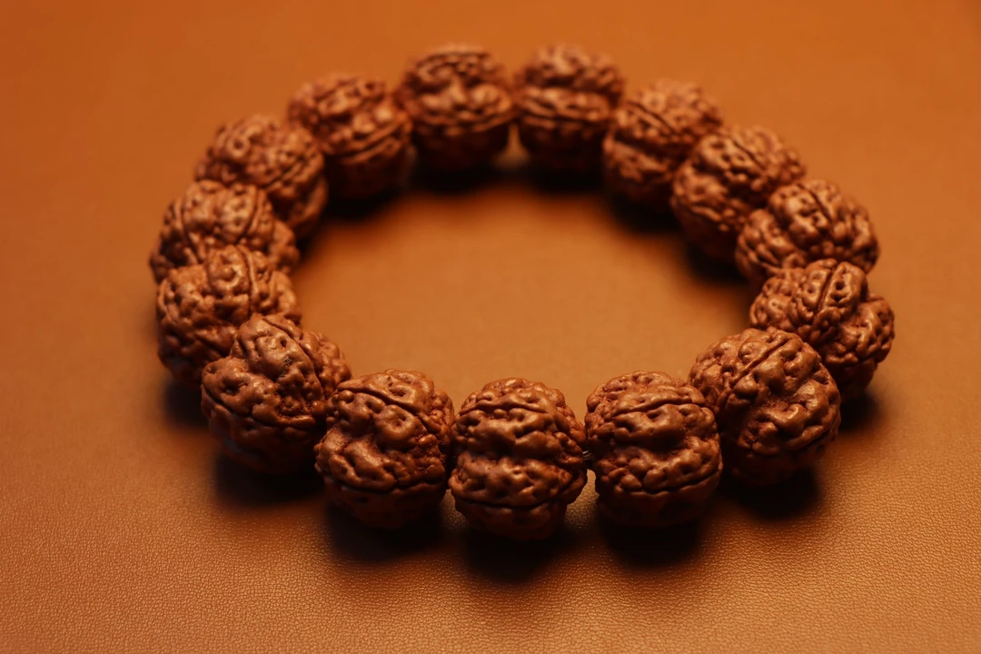 金刚菩提珠串小金刚五爪金龙帝王花