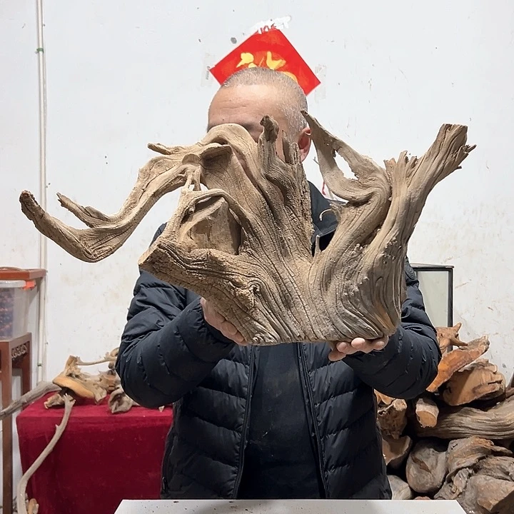 柏木祥**鹤我们的生活是一