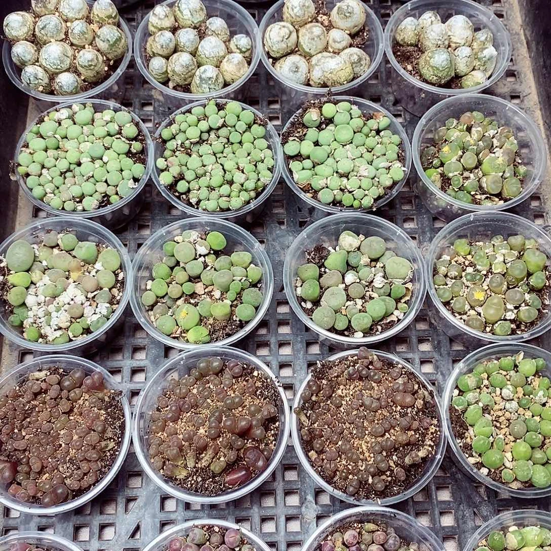 贝***园23呃呃呃呃呃呃呃呃呃呃呃呃呃