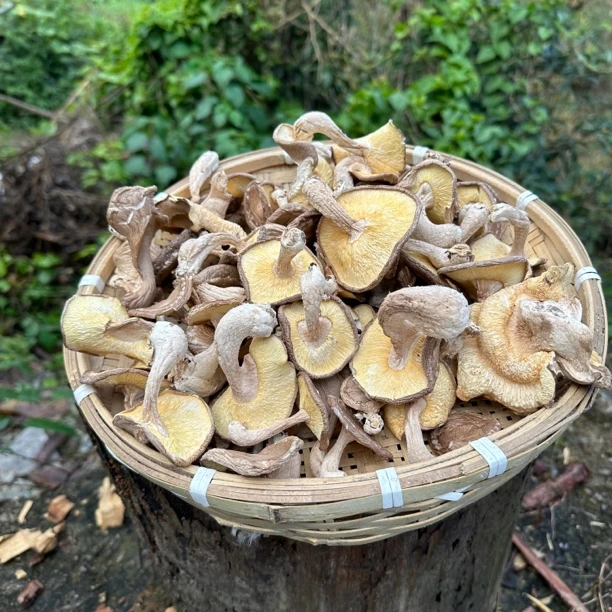 农家山货 高山香菇 土香菇.