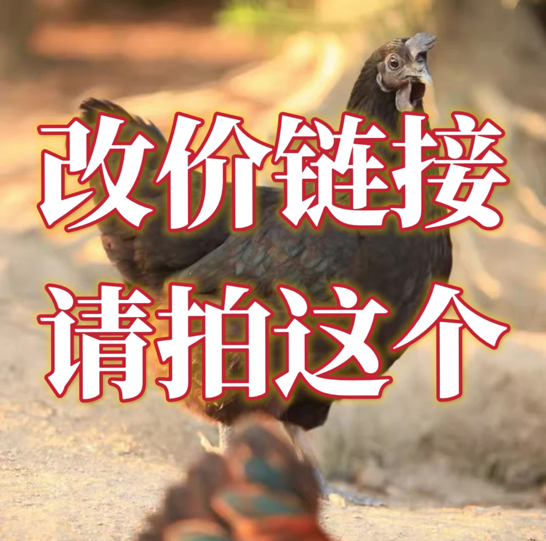 改价链接 生鲜发货 土鸡
