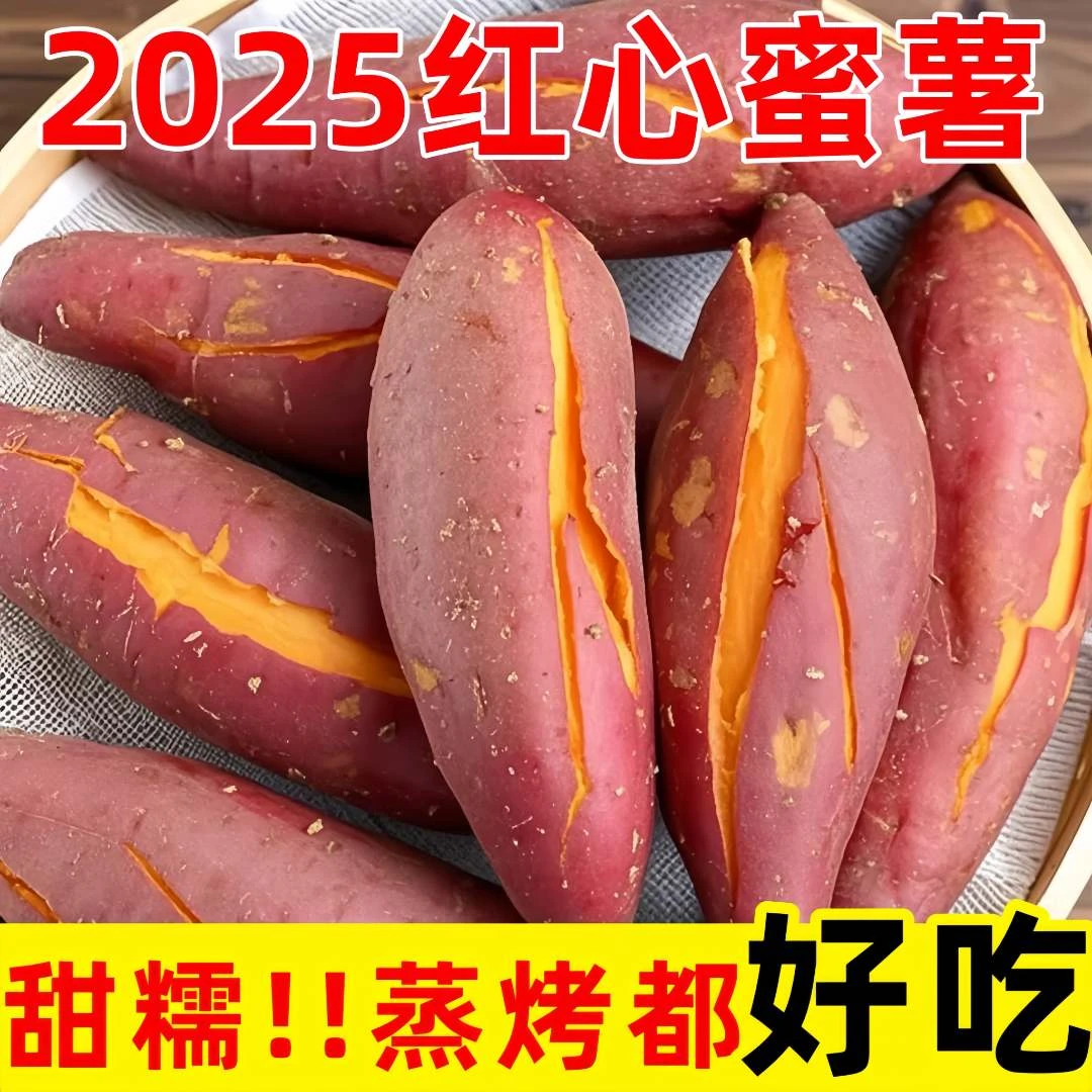 【坏果包赔】云南高原蜜薯红薯西瓜红现挖农家地瓜番薯黄心沙地番薯