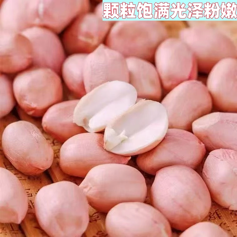 河南大白沙花生米当季新货大颗粒农家自产新鲜脱壳花生仁