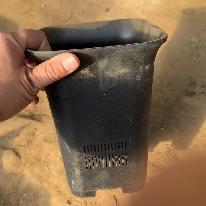 249黑万象盆口径15公分左右一个