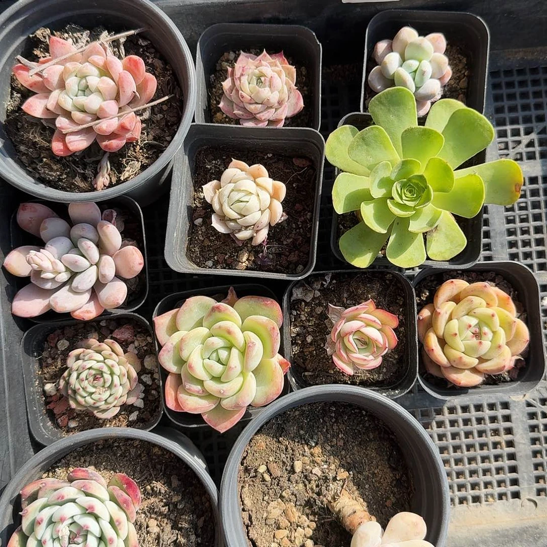 满20包邮零下拍保温箱119号