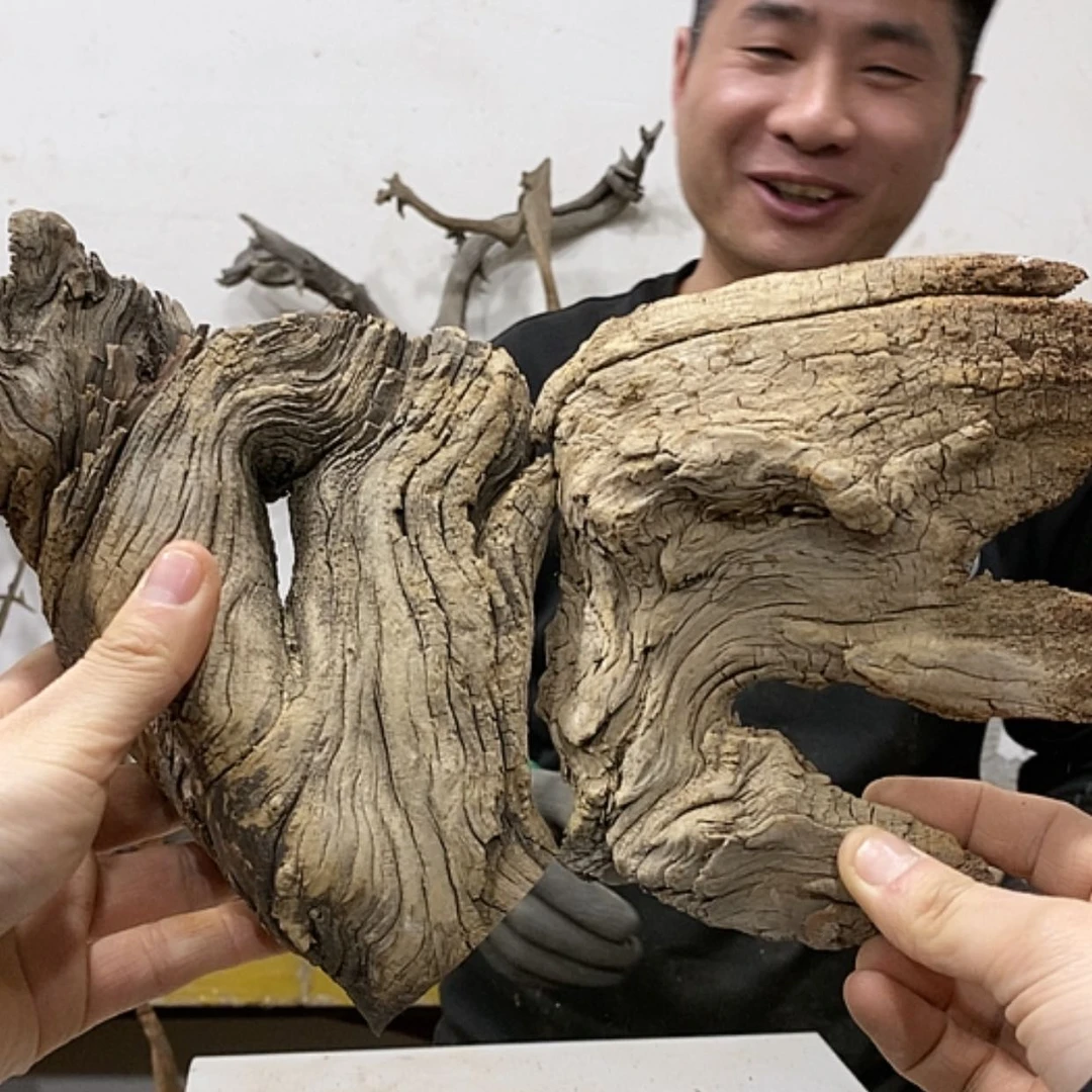 【闪购商品】柏木展****）我们的目标就是成为更