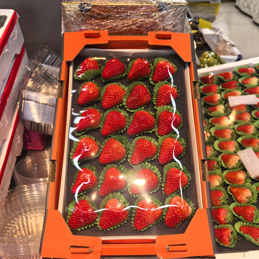 果切爱马仕儿童草莓一盒1.7斤