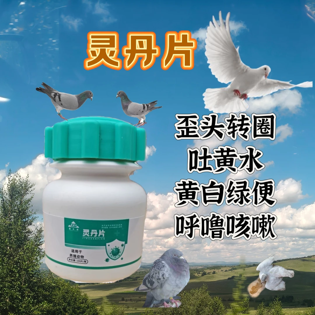 灵丹片片剂:鸽子鸟甩吐扭头黄白绿水便打蔫呼噜咳嗽鸽药