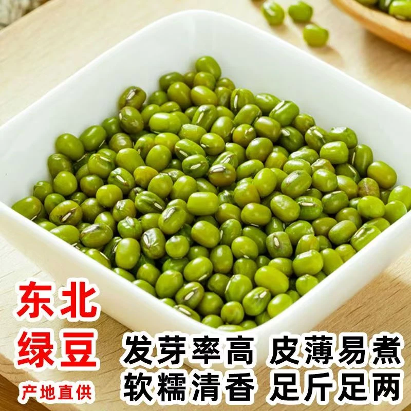 新鲜东北绿豆颗粒饱满煲汤煮粥易烂解暑优质原料