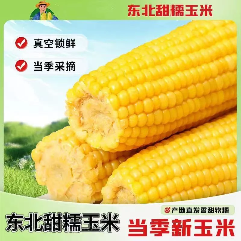 【试吃2根】精选东北黄金糯香甜12根整箱7斤左右 独立真空包装