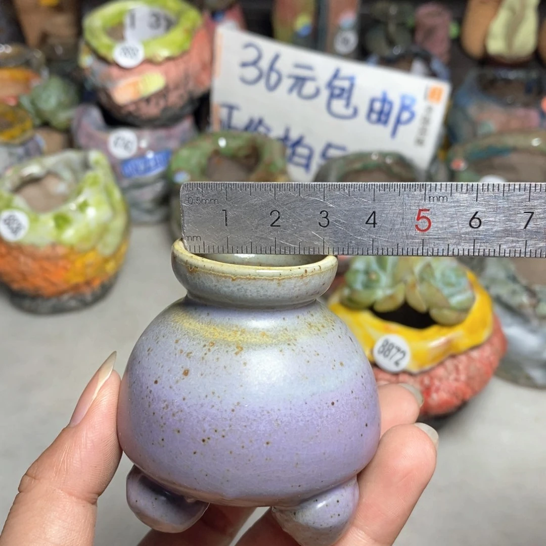 拍4送一个小礼物