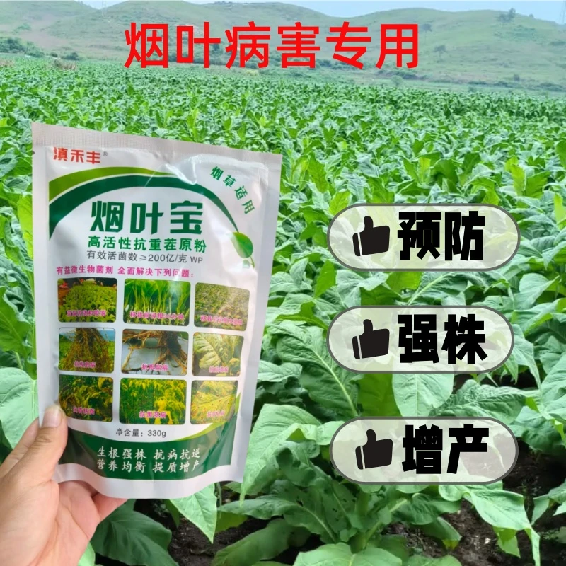 烟叶宝 微生物菌肥抗重茬根腐根结线虫烤烟增产方案