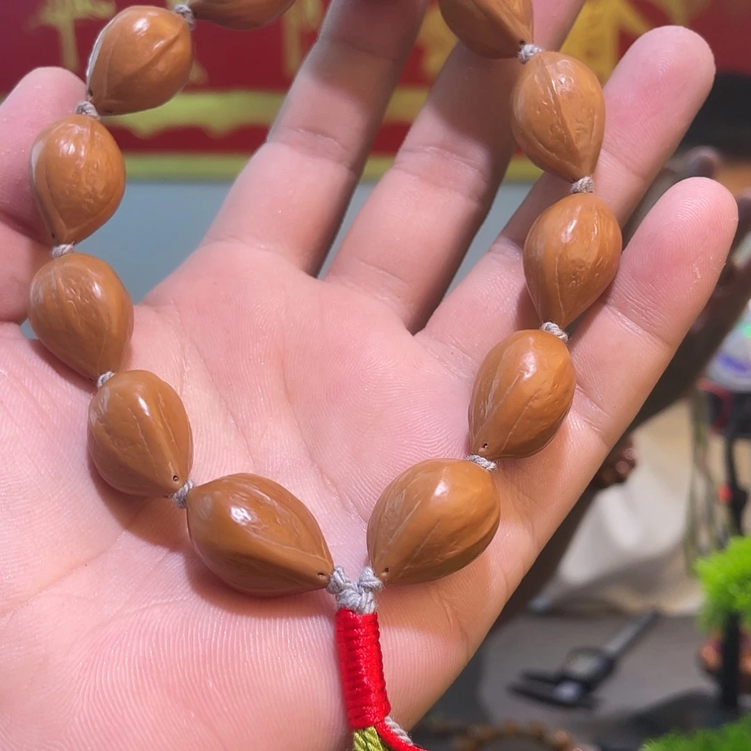 橄榄核手串/手链666666666666
