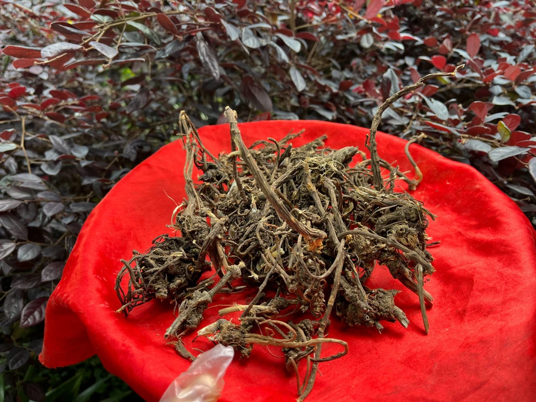 1【Y-川-芎】净含量：100g-500g【阿徐现收】