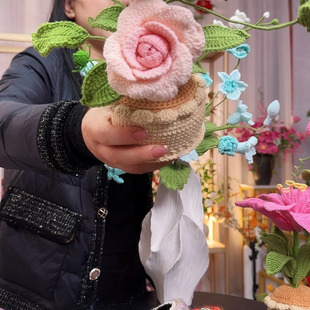 纯手工钩织钩织盆栽