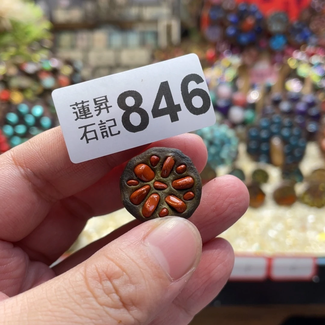 核桃木/黑胡桃（胡桃木）叶****菡846