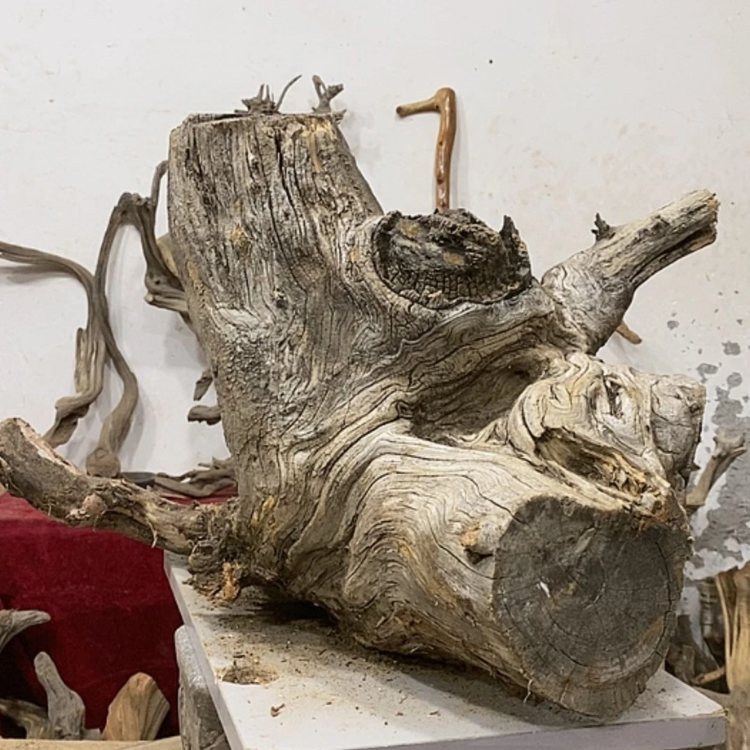 【闪购商品】柏木展****）我们都是好孩子