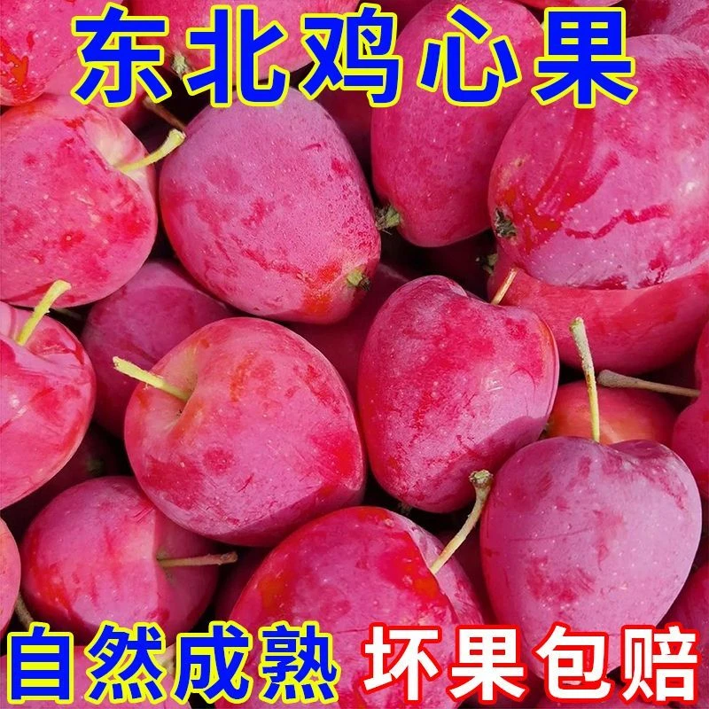 东北鸡心果新鲜采摘酸甜可口脆多汁应季水果