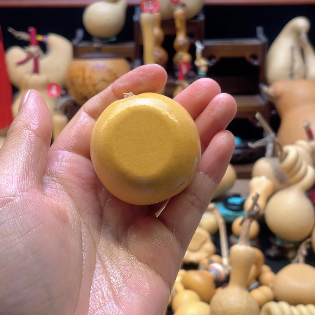 一**光大自然的秘密第十一节的