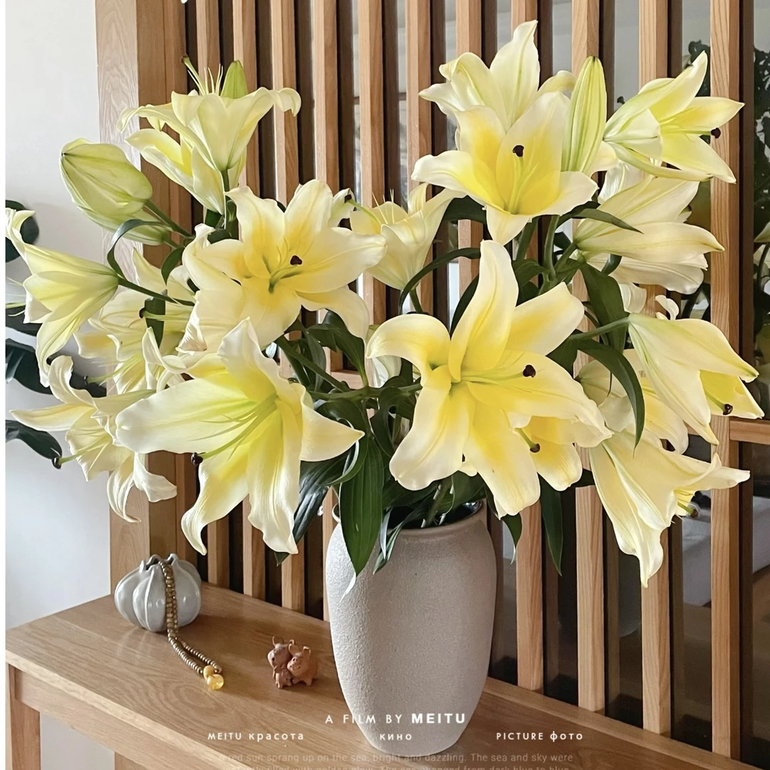 【黄天霸】20/22百合种球盆栽地栽  浓香型 1球装