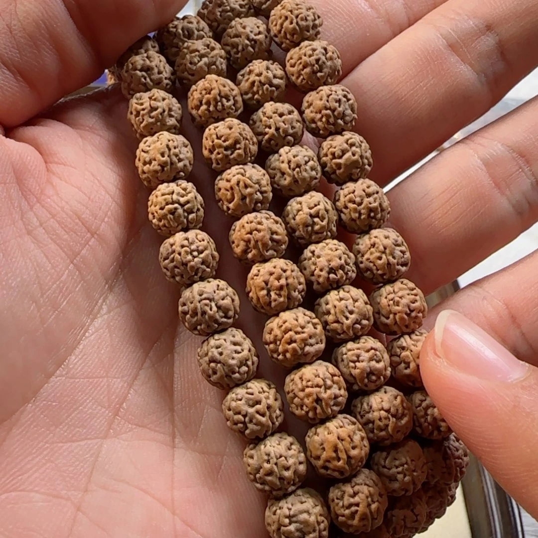 忠***于吊坠金刚菩提闷墩龙一等+++
