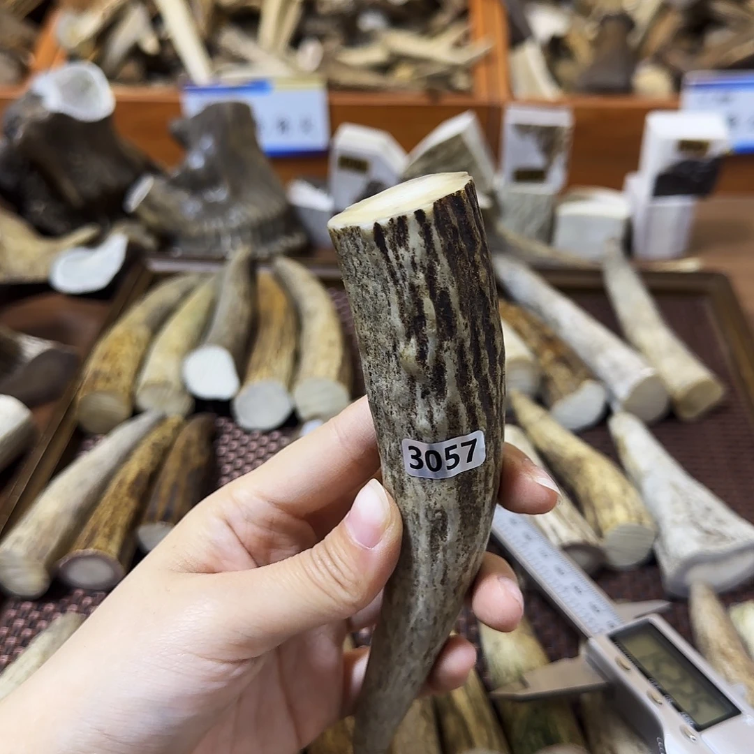 手串/手链鹿骨3057角尖