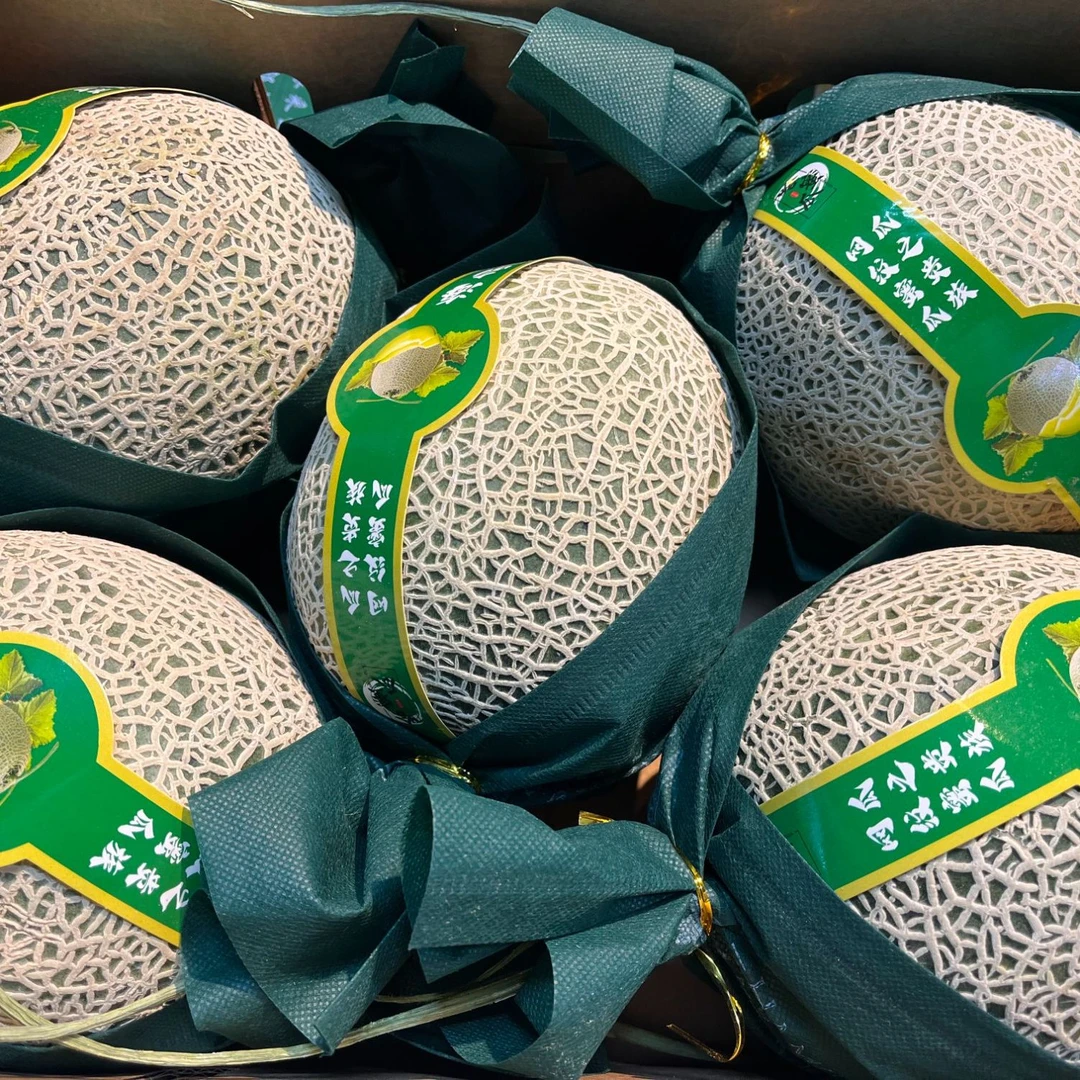 海南网纹蜜瓜新鲜超甜新冰淇淋网纹静冈密瓜玫珑蜜瓜【好东西】（同城骑手配送到家）