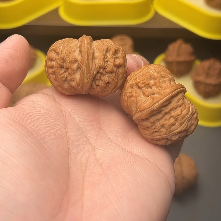 44尺红皮元宝不退不换