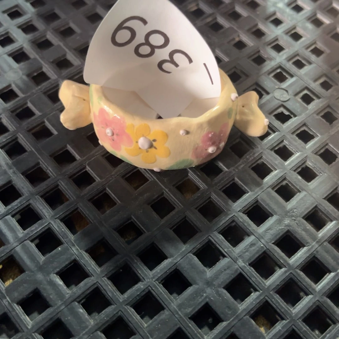 后**?编号389拇指盆1个