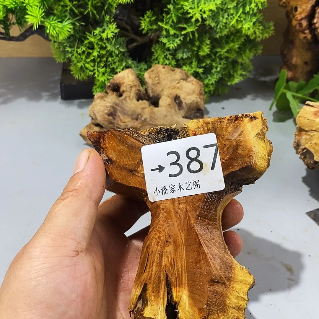风车木（黑檀木）达*麻梨疙瘩
