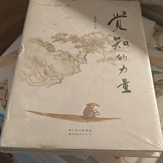 觉知的力量精装塑封