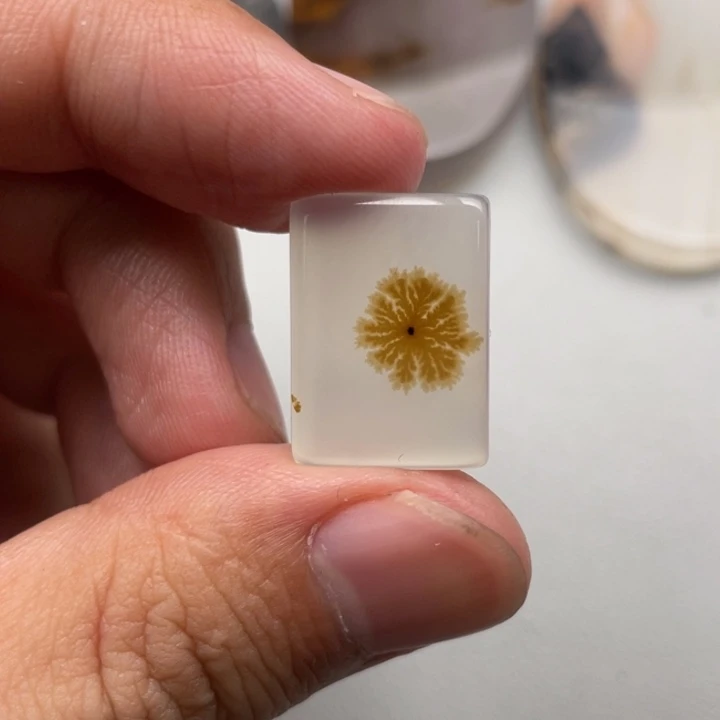 玛瑙/玉髓未镶嵌颈饰泥*