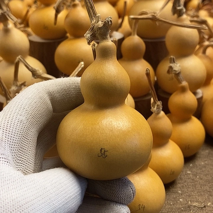 文玩葫芦 完美主义者 慎拍55