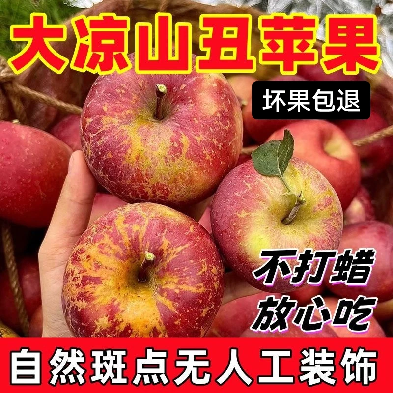 四川大凉山丑苹果四川丑苹果脆甜冰糖心当季水果4.5斤