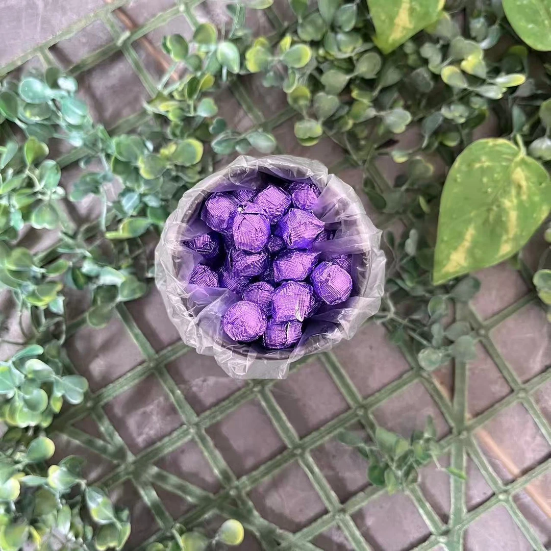 雨腾古茶 珍Z“气X”灵D妙Y Y倍J炼77g/罐（12月22）