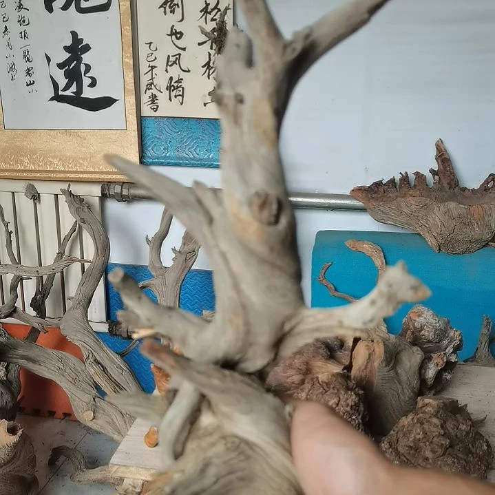 远***台柏木（崖柏）崖柏摆件，，，，，