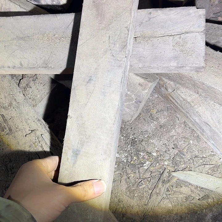 啊啊啊啊啊啊啊啊