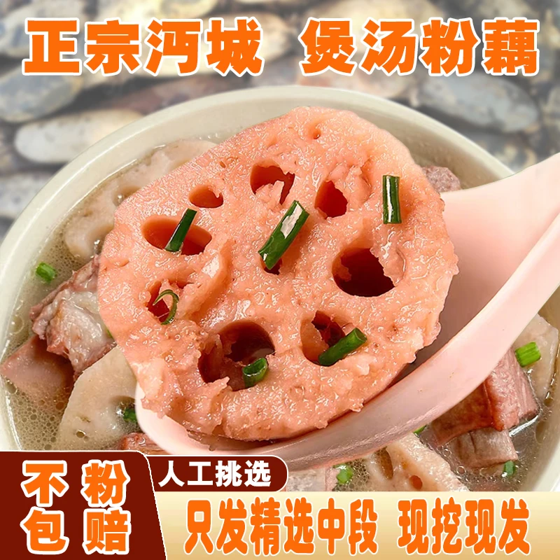 煲汤粉莲藕正宗湖北沔城新鲜现采现挖3斤红莲藕仙桃特产农产品