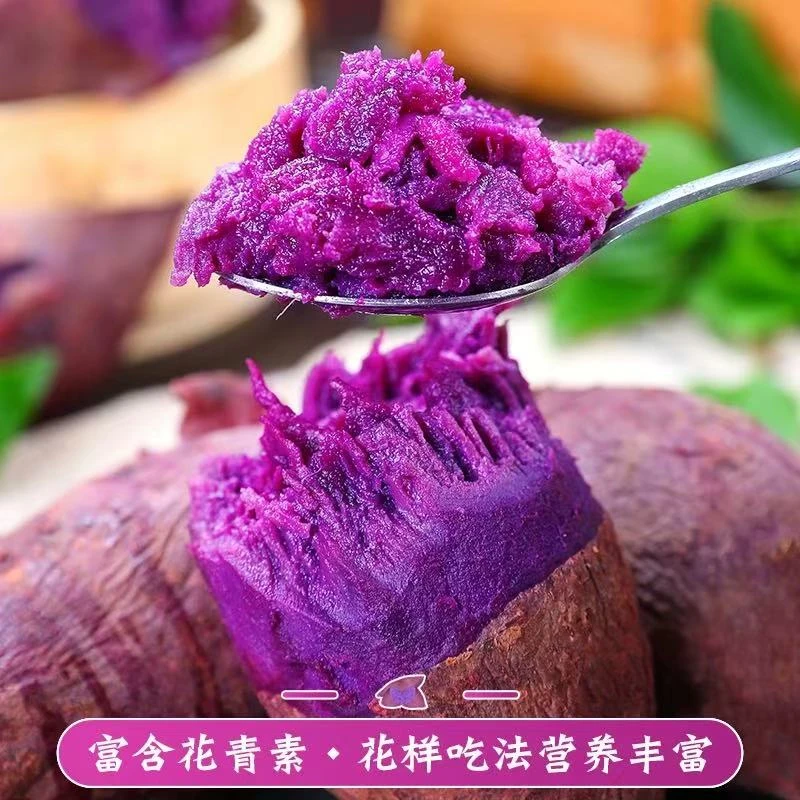 淼淼专属 农家自种紫薯新鲜沙地软糯花青素紫罗兰薯现挖新鲜
