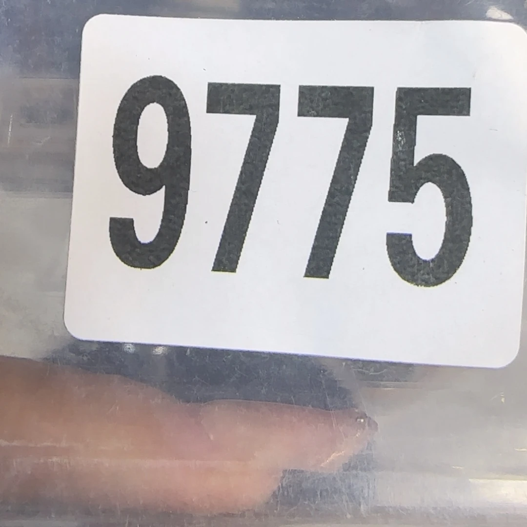 新号开播福利多多