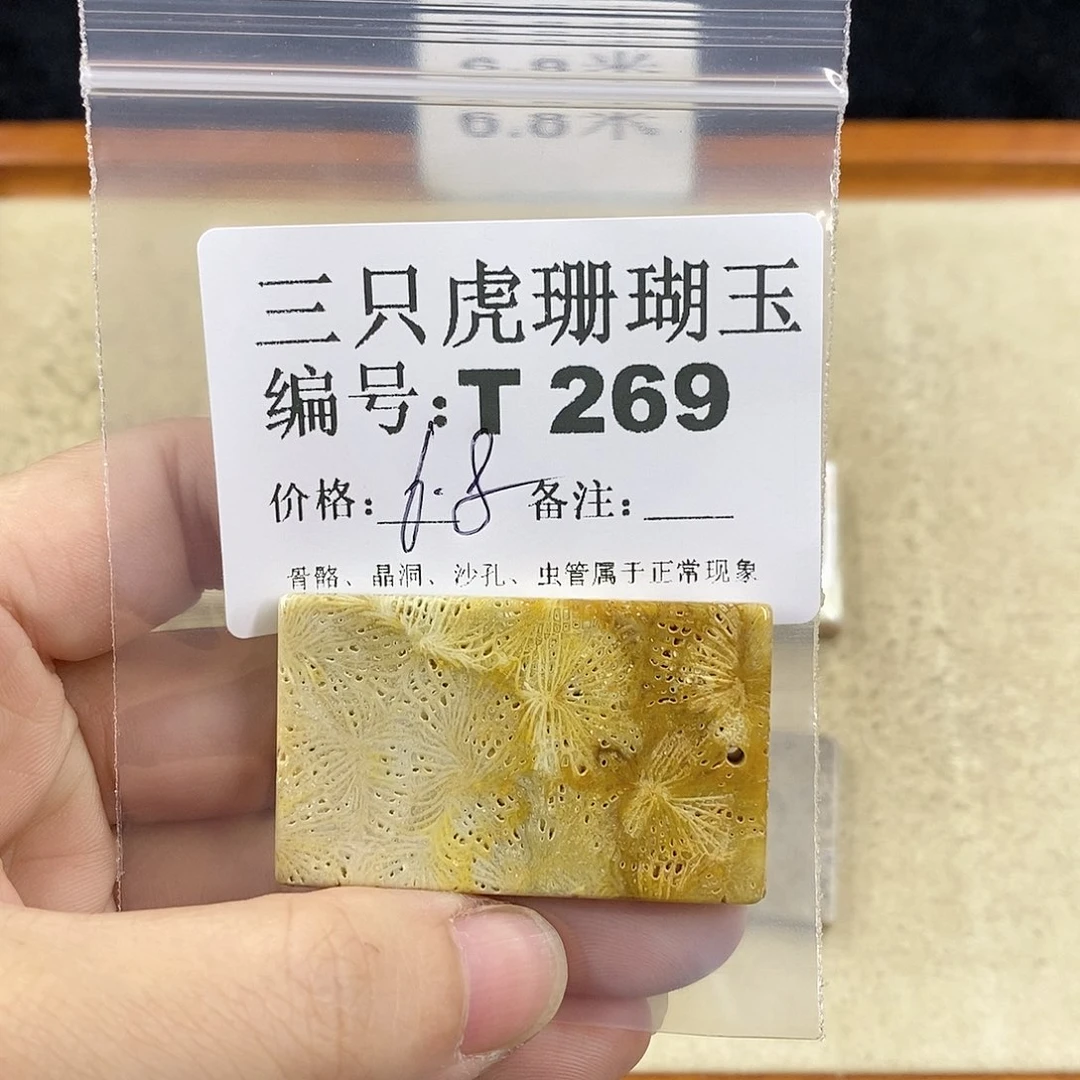 硅化珊瑚（珊瑚玉）1未镶嵌曾**时