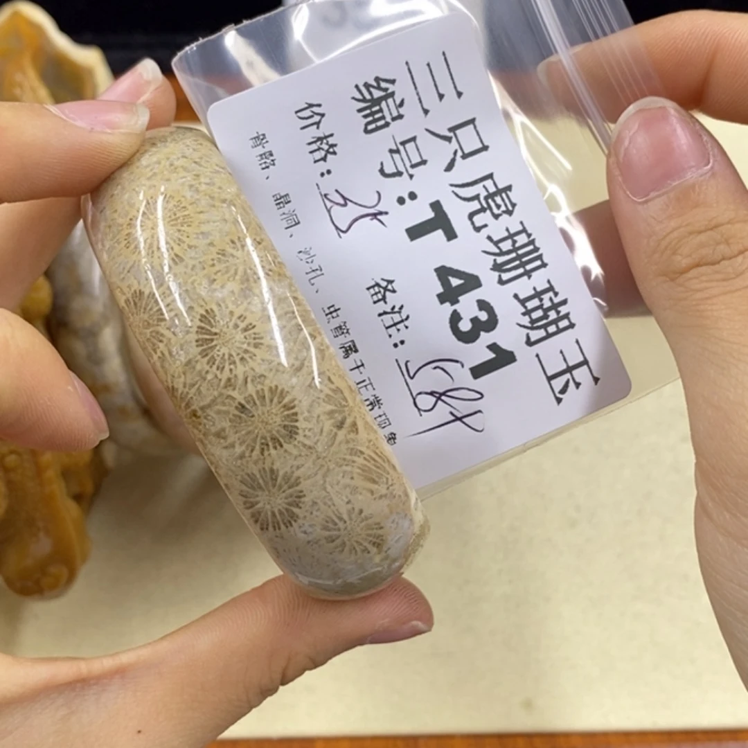 硅化珊瑚（珊瑚玉）1未镶嵌s*浪