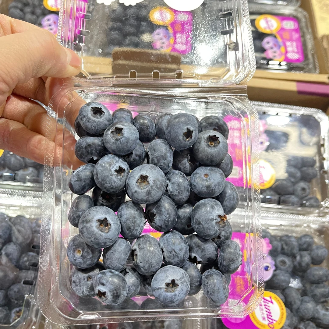 【恒泽优选】佳沃蓝莓Jumbo甄选大果
