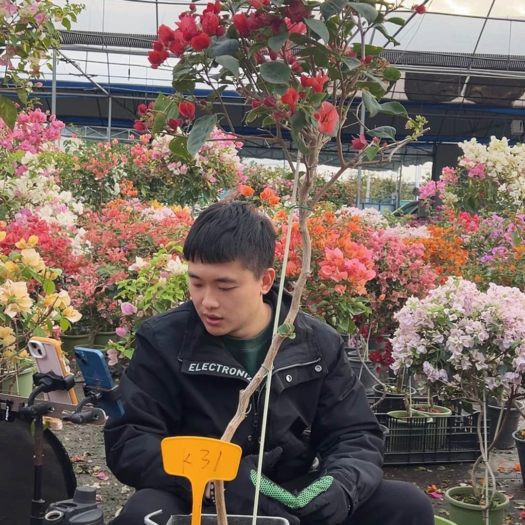 大部分花苞少量开放K31不甜西瓜